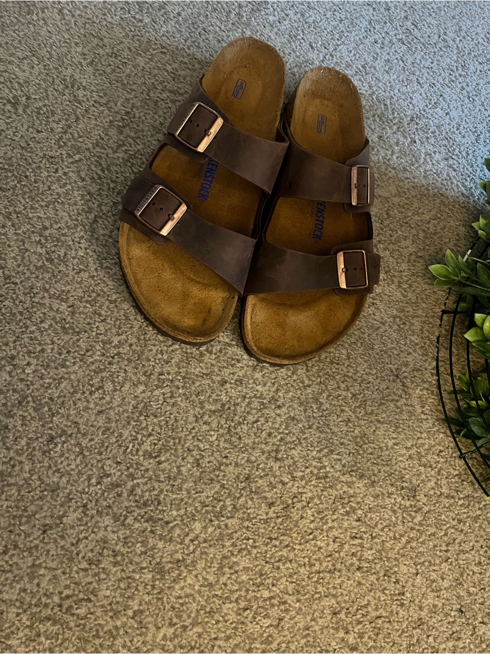 Birkenstock Brown Buckle Leather Sandals
